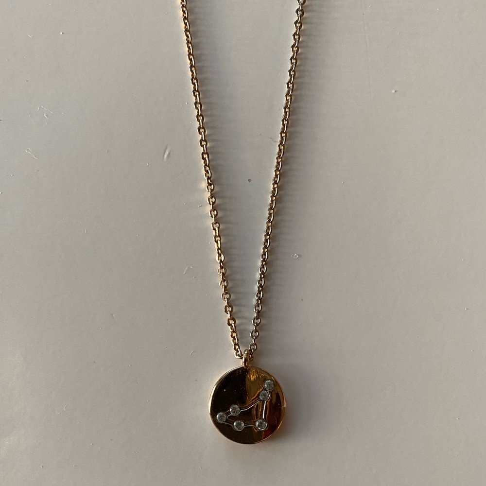 zodiac charm necklace